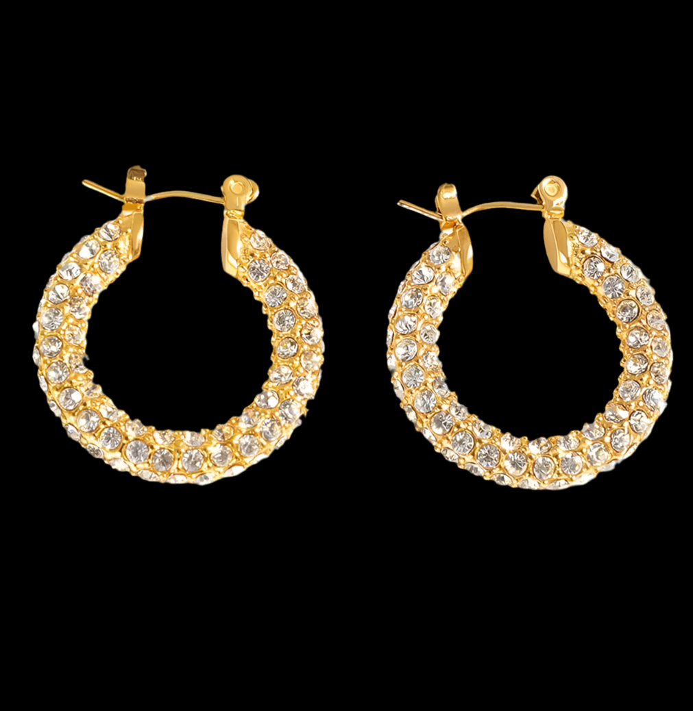 DAZZLING HOOPS